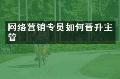 网络营销专员如何晋升主管