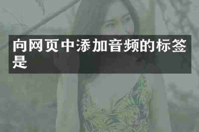 向网页中添加音频的标签是