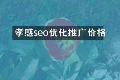 孝感seo优化推广价格