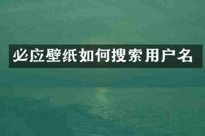 必应壁纸如何搜索用户名