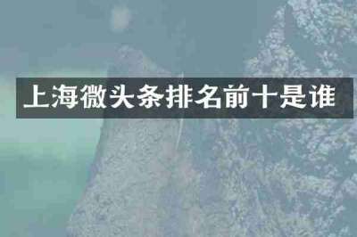 上海微头条排名前十是谁