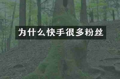 为什么快手很多粉丝