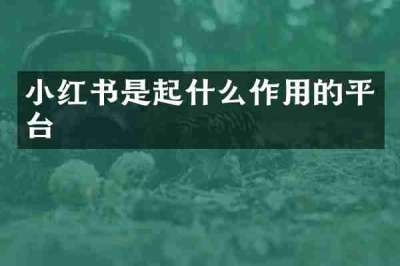 小红书是起什么作用的平台