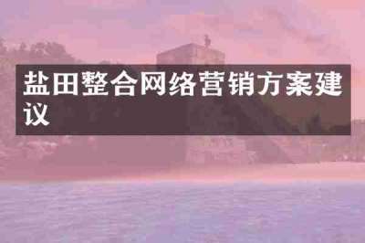 盐田整合网络营销方案建议