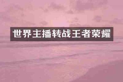 世界主播转战王者荣耀