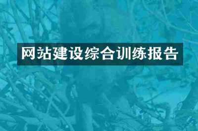 网站建设综合训练报告