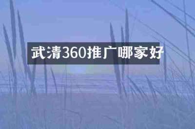 武清360推广哪家好