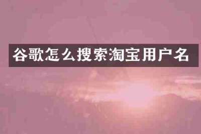 谷歌怎么搜索淘宝用户名