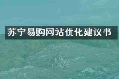 苏宁易购网站优化建议书