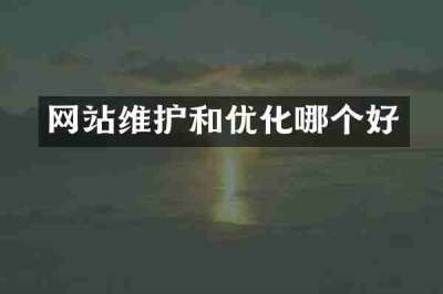 网站维护和优化哪个好