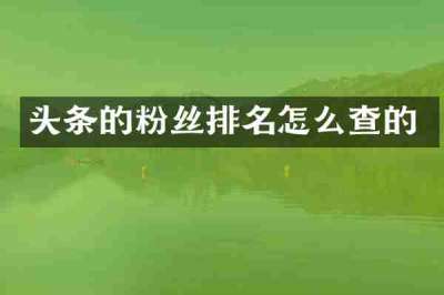 头条的粉丝排名怎么查的
