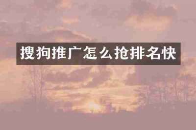 搜狗推广怎么抢排名快