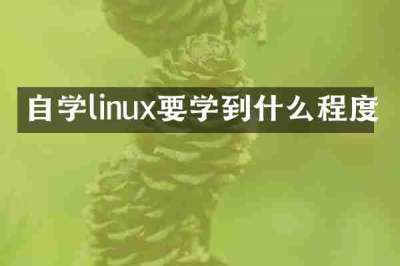 自学linux要学到什么程度