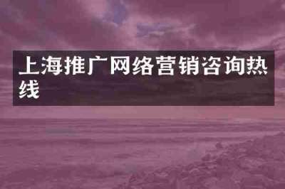 上海推广网络营销咨询热线