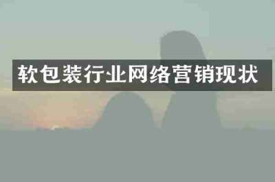 软包装行业网络营销现状