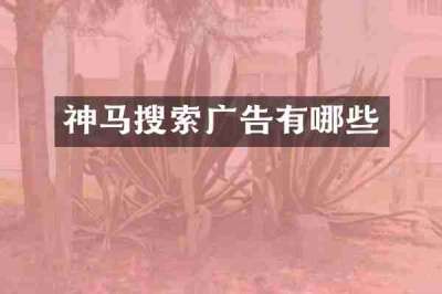 神马搜索广告有哪些