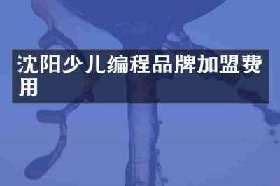 沈阳少儿编程品牌加盟费用