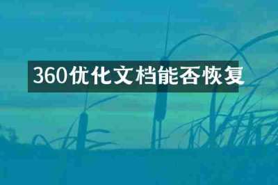 360优化文档能否恢复