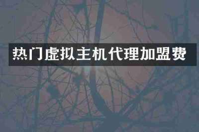 热门虚拟主机代理加盟费