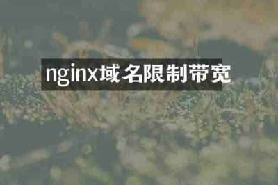 nginx域名限制带宽