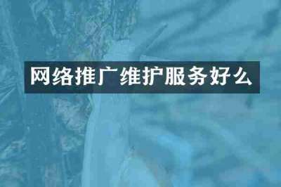 网络推广维护服务好么