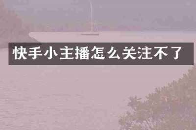快手小主播怎么关注不了