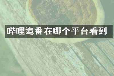 哔哩追番在哪个平台看到