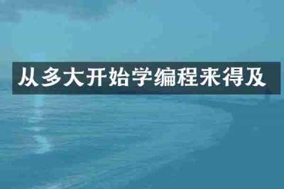 从多大开始学编程来得及