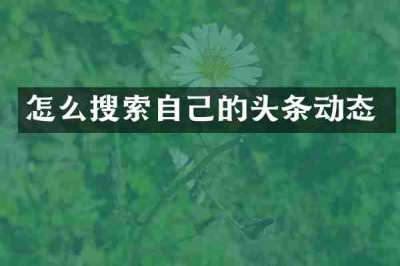 怎么搜索自己的头条动态