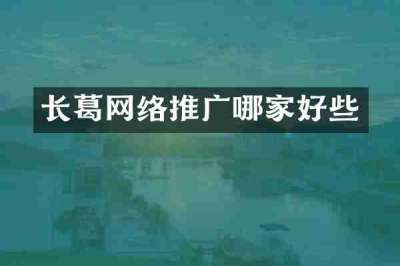 长葛网络推广哪家好些