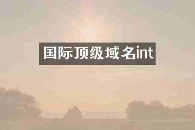 国际顶级域名int