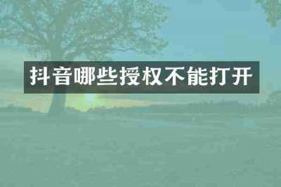 抖音哪些授权不能打开