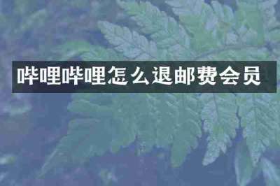 哔哩哔哩怎么退邮费会员
