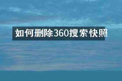 如何删除360搜索快照