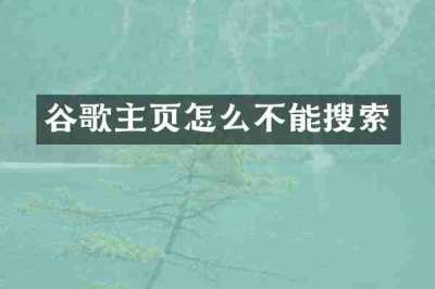 谷歌主页怎么不能搜索