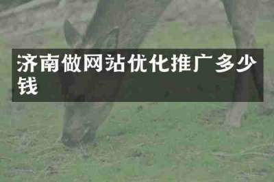 济南做网站优化推广多少钱