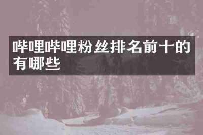 哔哩哔哩粉丝排名前十的有哪些