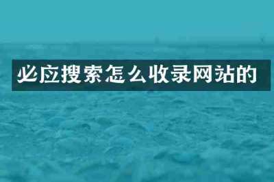 必应搜索怎么收录网站的