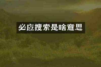 必应搜索是啥意思