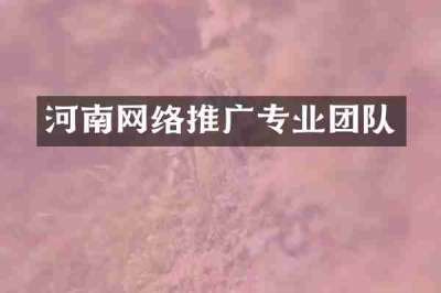 河南网络推广专业团队
