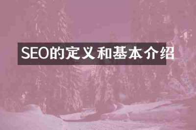 SEO的定义和基本介绍