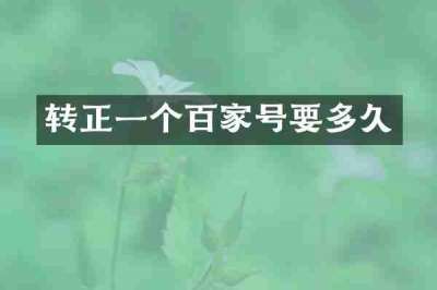 转正一个百家号要多久