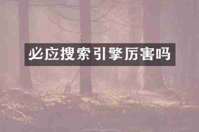 必应搜索引擎厉害吗