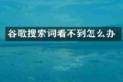 谷歌搜索词看不到怎么办