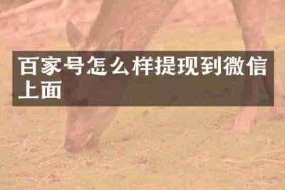 百家号怎么样提现到微信上面