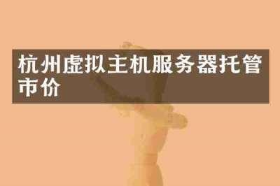杭州虚拟主机服务器托管市价