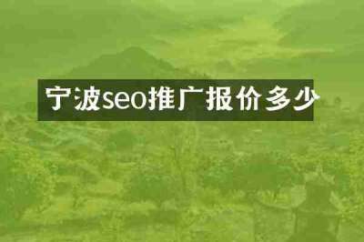 宁波seo推广报价多少