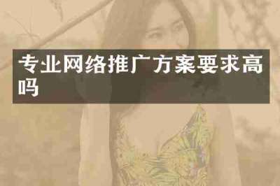 专业网络推广方案要求高吗