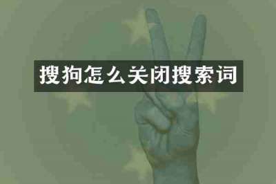 搜狗怎么关闭搜索词