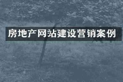 房地产网站建设营销案例